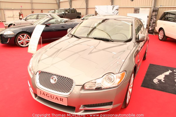 Jaguar (Salon Motor Festival 2009)