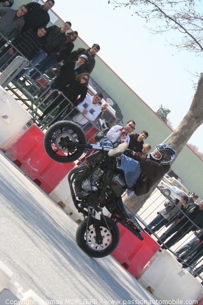 Moto Stunt (Motor Festival d'Avignon 2009)