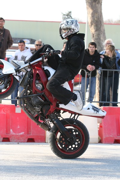 Moto Stunt (salon motor festival Avignon)