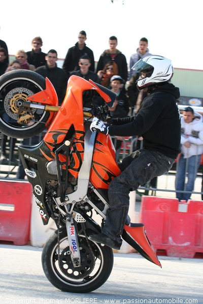 Moto Stunt (Avignon Motor Festival 2009)