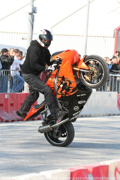 Moto Stunt (Salon d'Avignon motors festival)