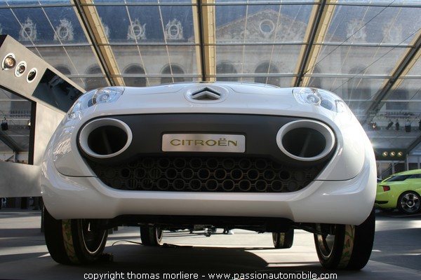 CITRON C-Cactus (Concept Car 2007) (FESTIVAL AUTOMOBILE INTERNATIONAL 2008)