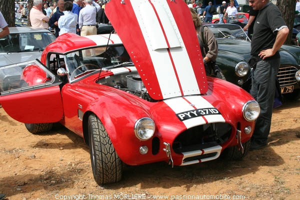 AC Cobra (Le Mans Classic 2008)