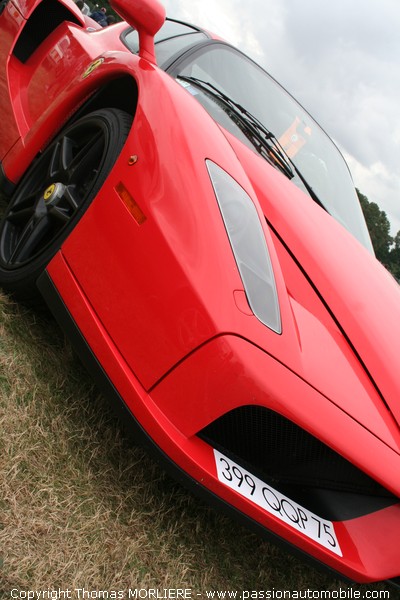 Ferrari Enzo (Le Mans Classic 2008)