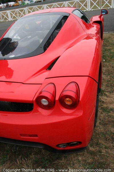 Ferrari Enzo (Le Mans Classic 2008)
