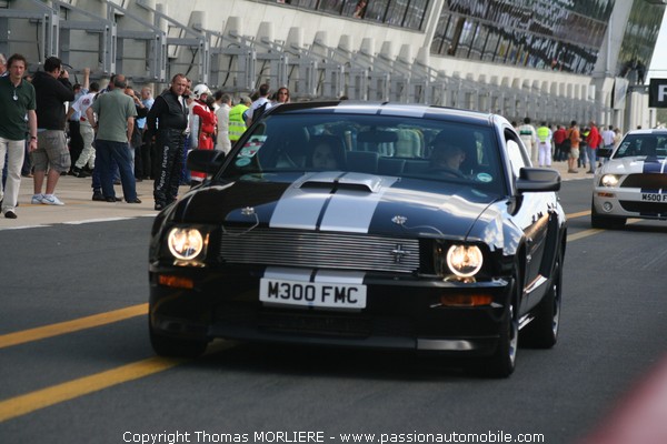 Ford Mustang 2008 (Le Mans Classic 2008)