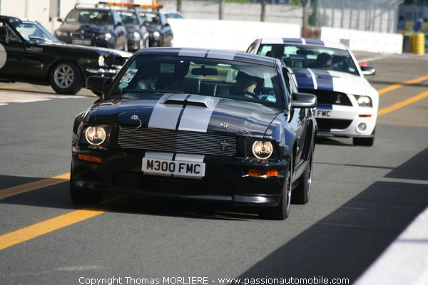 Ford Mustang 2008 (Le Mans Classic 2008)