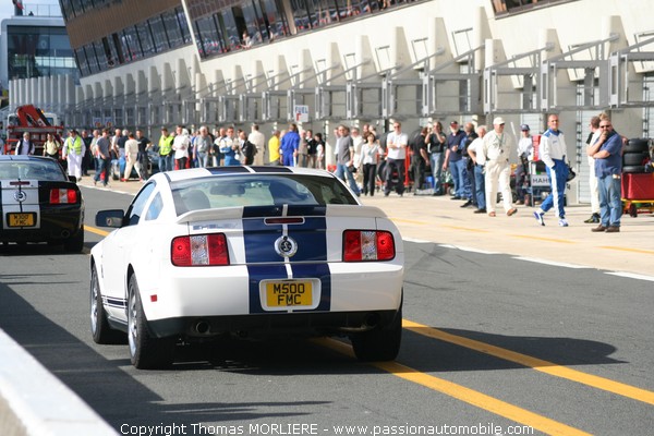 Ford Shelby 2008 (Le Mans Classic 2008)