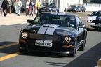 Ford Shelby 2008