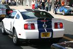 Ford Shelby 2008