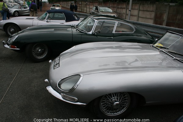 Jaguar Type E (Le Mans Classic 2008)