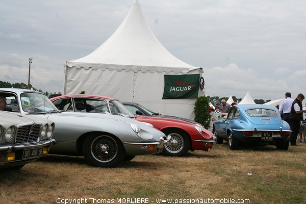 French Jaguar Driver's Club (Le Mans Classic 2008)