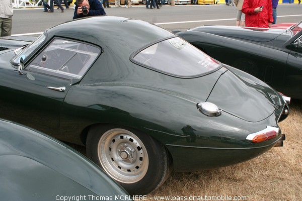 French Jaguar Driver's Club (Le Mans Classic 2008)