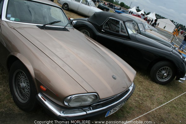 Jaguar XJS (Le Mans Classic 2008)