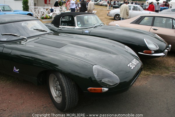 Jaguar Type E (Le Mans Classic 2008)