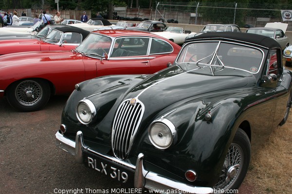 Jaguar XK 150 (Le Mans Classic 2008)