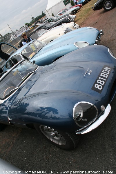 Jaguar XK SS (Le Mans Classic 2008)