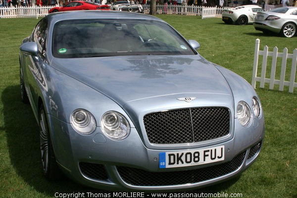Bentley (Le Mans Classic 2008 - Supercars)