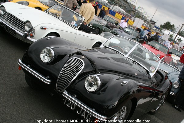 Parade Club - Pre-Grille (Le Mans Classic 2008)