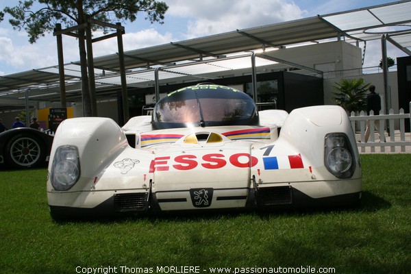 Peugeot au Mans (Le Mans Classic 2008)