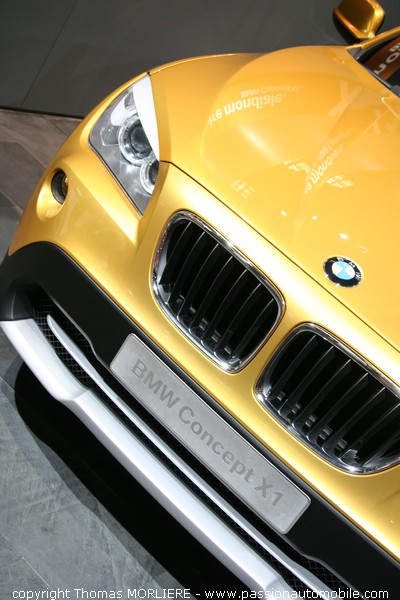 BMW (Mondial de l'auto 2008)
