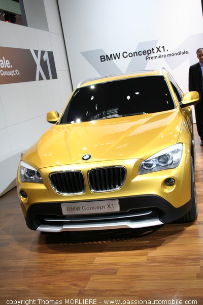 BMW (Mondial de l'automobile 2008)