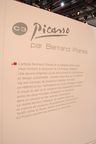 C3 Picasso par Bertrand Planes