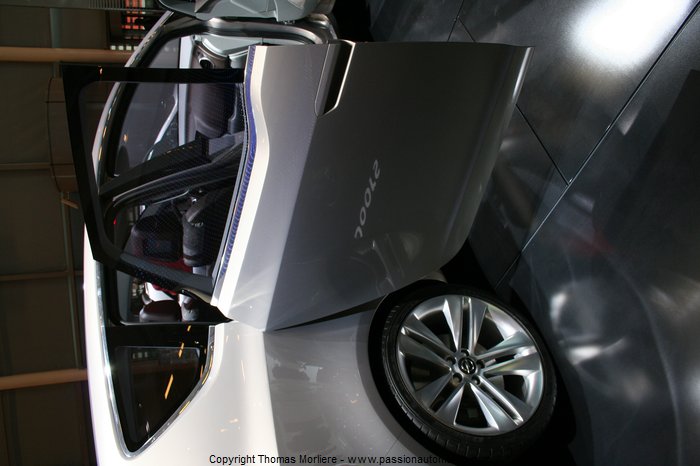 Opel Concept Flex Dpprs 2008 (Mondial automobile 2008)