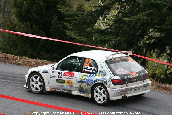 22 - AUTOMECA SPORT - PEZZUTTI - Peugeot 306 Maxi (Rally Lyon Charbonnieres 2009)