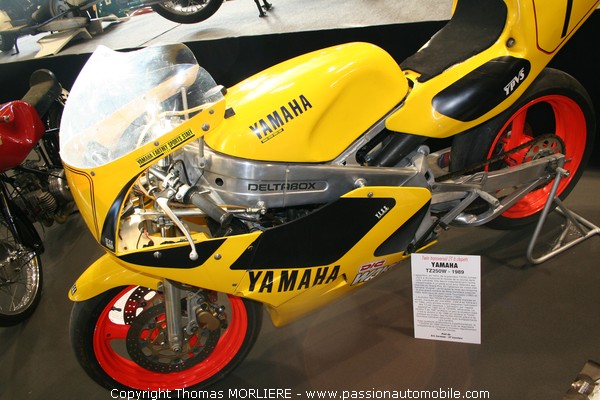 Yamaha TZ 250 W 1989 (Salon Retromobile 2009)