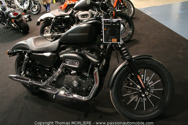 Harley Sportster iron XL 883 (Salon moto)