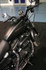 Harley Sportster iron XL 883