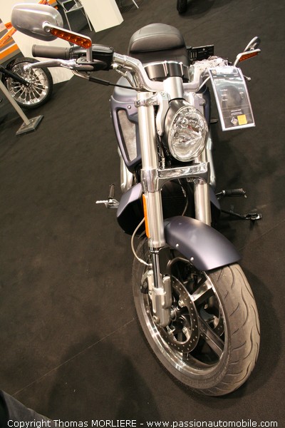 Harley-davidson Vrod Muscle VRSCF 1250 (Salon Moto de Lyon 2009)
