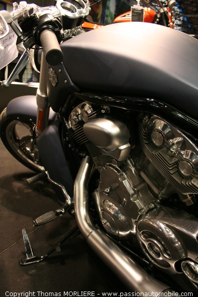 Harley-davidson Vrod Muscle VRSCF 1250 (Salon de la moto de Lyon 2009)