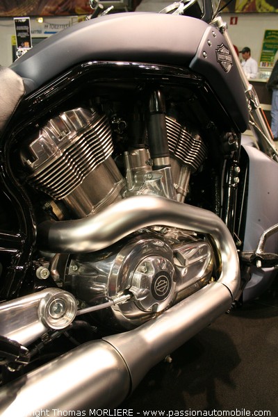 Harley Vrod Muscle VRSCF 1250 (Salon moto)