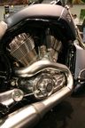 Harley Vrod Muscle VRSCF 1250