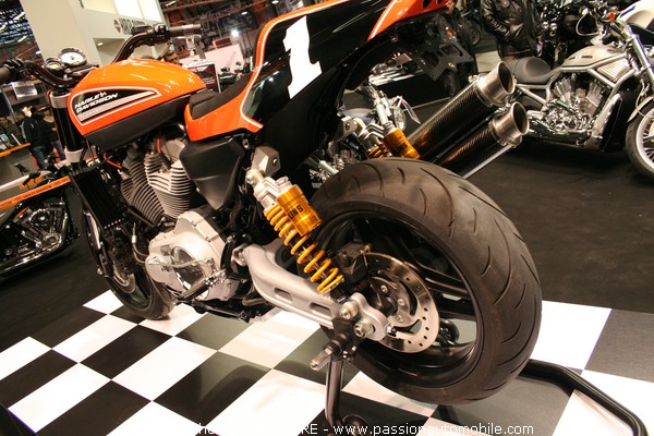 Harley XR1200 HD (Salon moto)
