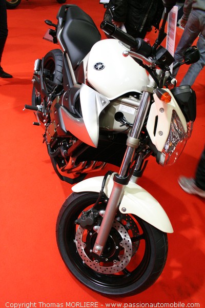 Yamaha XJ6 2009 (Salon moto)