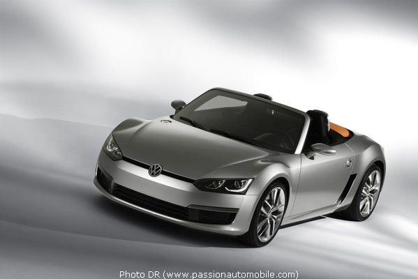 Volkswagen Concept BlueSport 2009 (SALON AUTO DE DETROIT 2009)