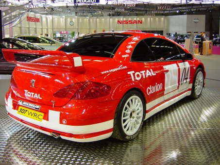 Peugeot 307 WRC (SALON AUTOMOBILE DE LYON 2003)