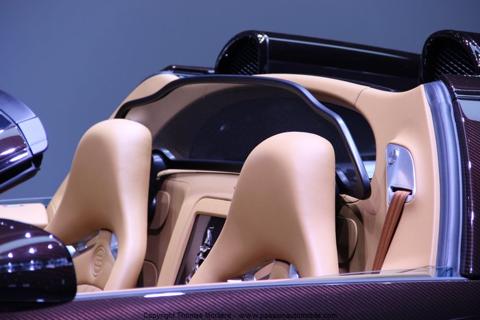 bugatti veyron les legendes de bugatti 2014 (salon automobile de geneve 2014)